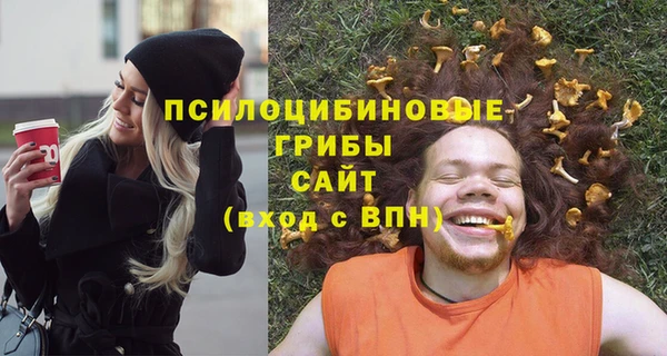 стафф Богданович