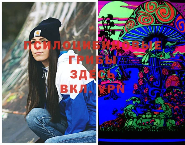 стафф Богданович