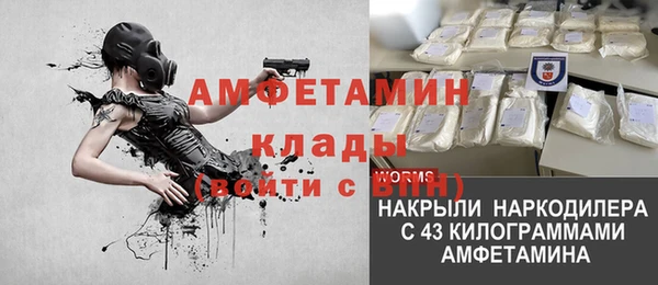 стафф Богданович