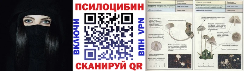 Галлюциногенные грибы мухоморы  Верещагино 
