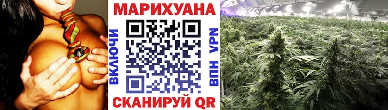 закладки  Верещагино  Конопля VHQ 